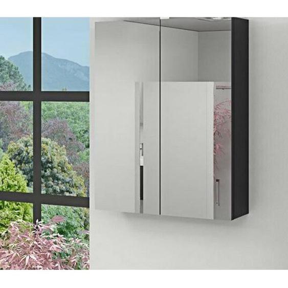 Armoire de toilette - Anthracite - 60 x 77 x 17,2 cm - Bois - Contemporain - A suspendre