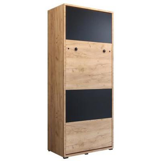 Armoire lit escamotable Horizontal DEPP 90 avec Coffre - Style Contemporain - Craft Or + Noir Mat (sans Matelas)