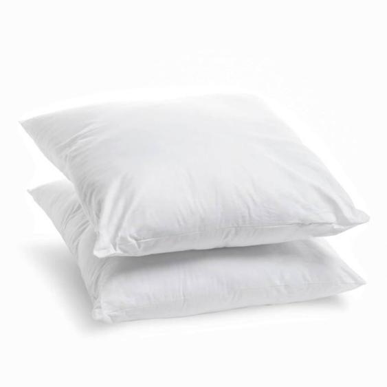 Bleu Calin Lot De 2 Oreillers Coton Bio - Confort Moelleux - Enveloppe 100% Coton Certifié Gots - 60x60cm Blanc