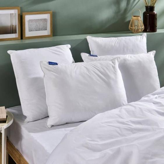 Bleu Calin Oreiller 60x60cm Ferme - Doux Et Gonflant - Enveloppe 100% Percale De Coton Blanc