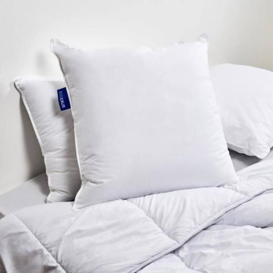 Bleu Calin Oreiller 60x60cm Sensation Duvet - Confort Souple - Gonflant Extra Blanc