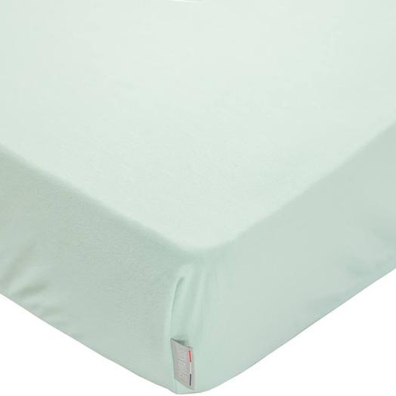 Drap Housse En Coton Jersey Uni Vert Amande
