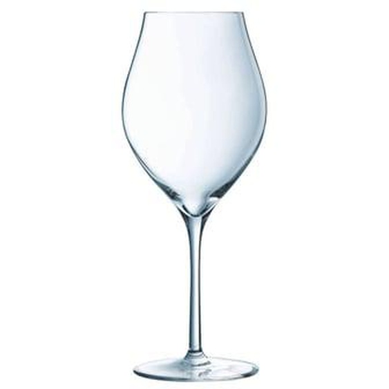 Exaltation - 6 verres à pied 55 cl