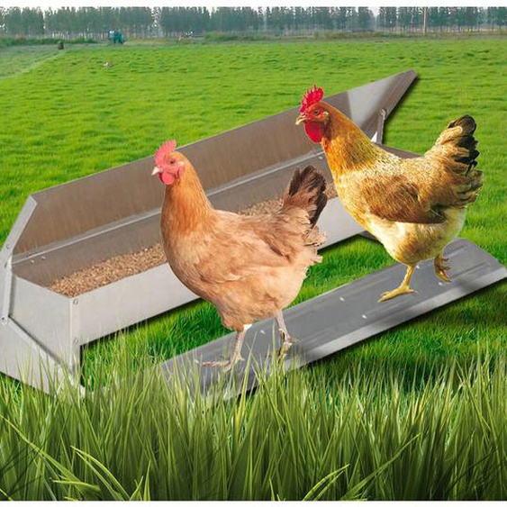 Mangeoire xl pour poules distributeur automatique à pédale en acier 5 kg