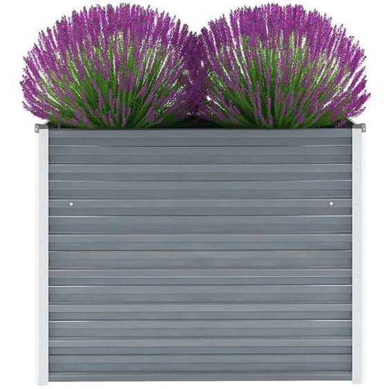 Lit surélevé de jardin Acier galvanisé 100x40x77 cm Gris