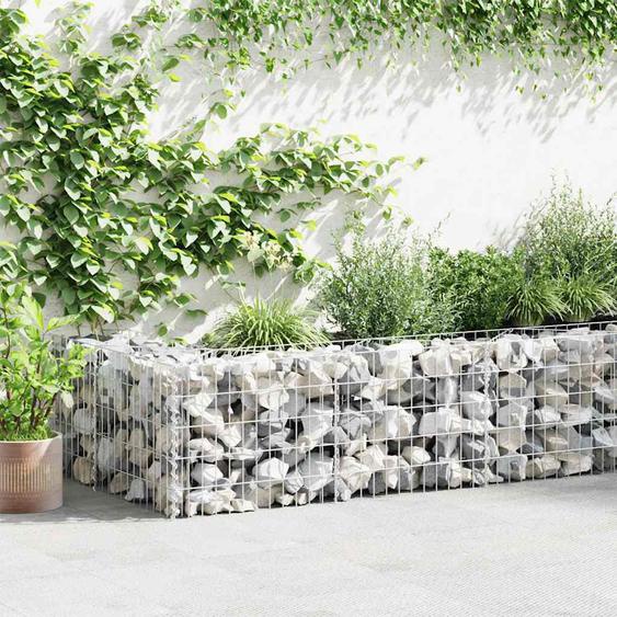 Mur de gabion Acier galvanisé 630x30x50 cm