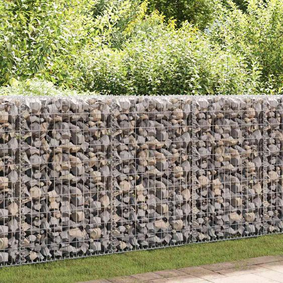 Mur en gabion avec couvercles Acier galvanisé 200x60x100 cm