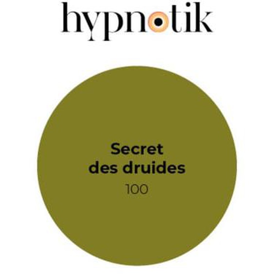 Peinture Hypnotik velours 100 Secret des druides 5 L