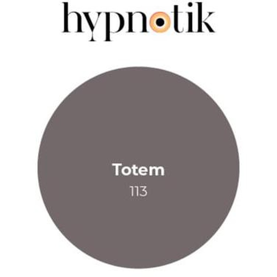 Peinture Hypnotik velours 113 Totem 5 L