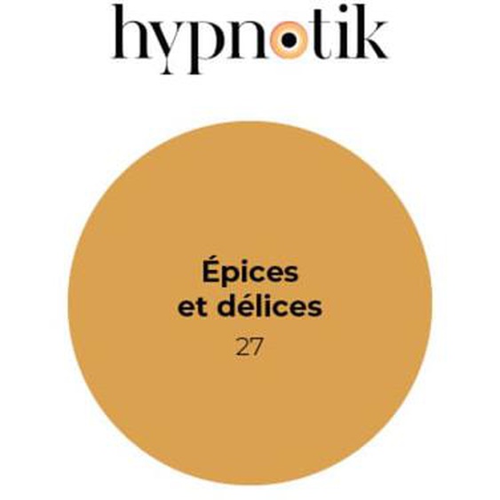 Peinture Hypnotik velours 27 Epices et délices 5 L