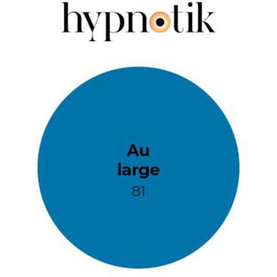 Peinture Hypnotik velours 81 Au large 5 L