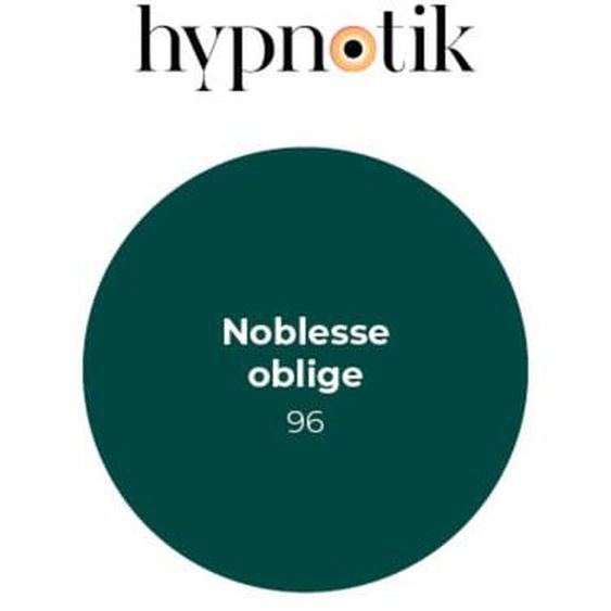 Peinture Hypnotik velours 96 Noblesse oblige 5 L